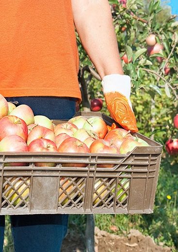 Solutions d’emballage alimentaire éco-friendly