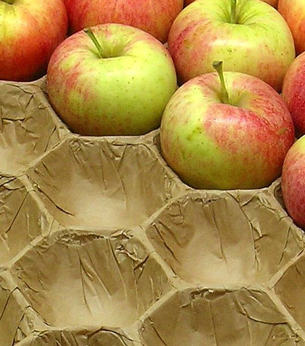Pack Vert - Fournisseur emballage écologique alimentaire
